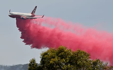 A state of emergency was declared on November 11, 2019 and residents in the Sydney area were warned of "catastrophic" fire danger - Credit: PETER PARKS/AFP