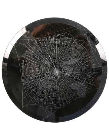 Spiderweb