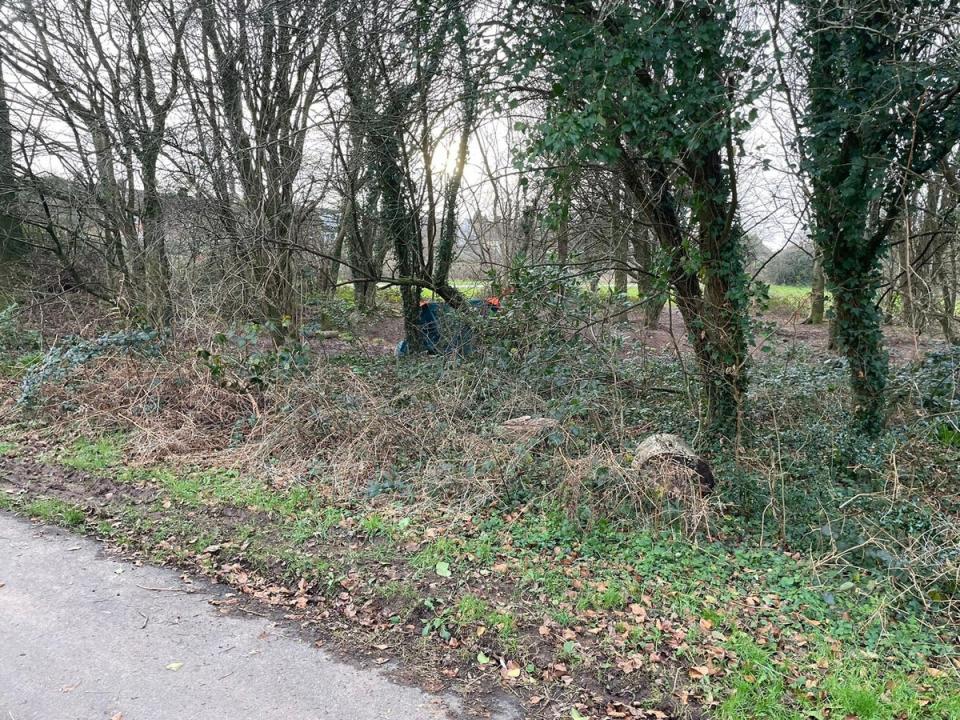 Chris’s tent can be seen through the bushes (Catherine Gorwill)