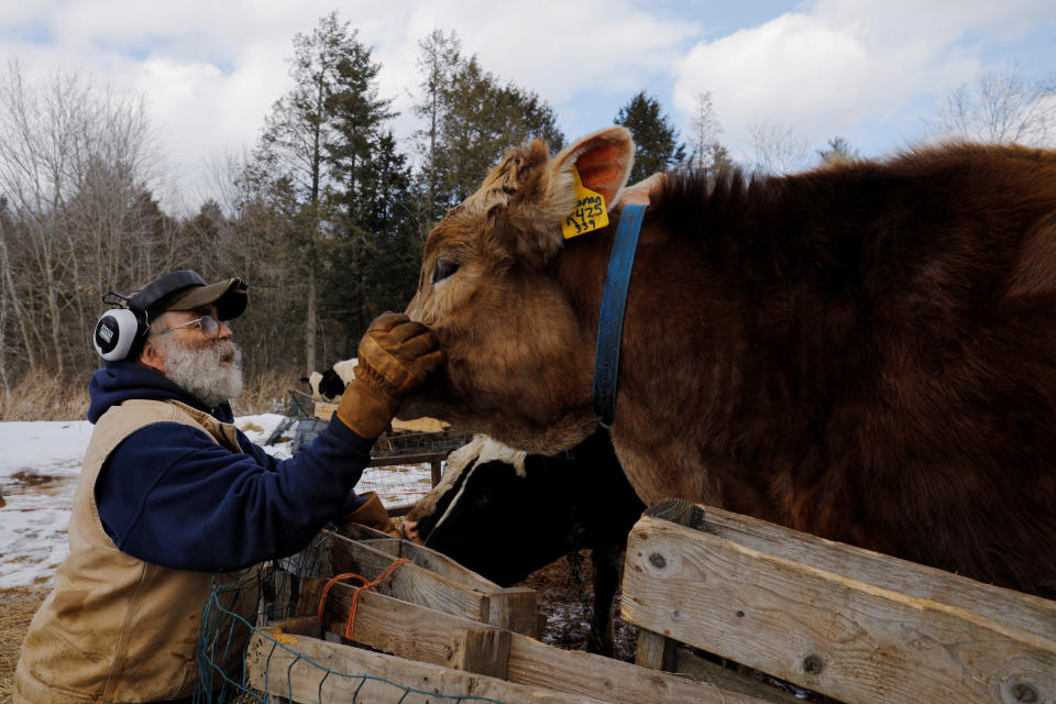 Dairy farmer Fred Stone checks on his cows at the Stoneridge Farm in Arundel, Maine, March 11, 2019. REUTERS/Brian Snyder