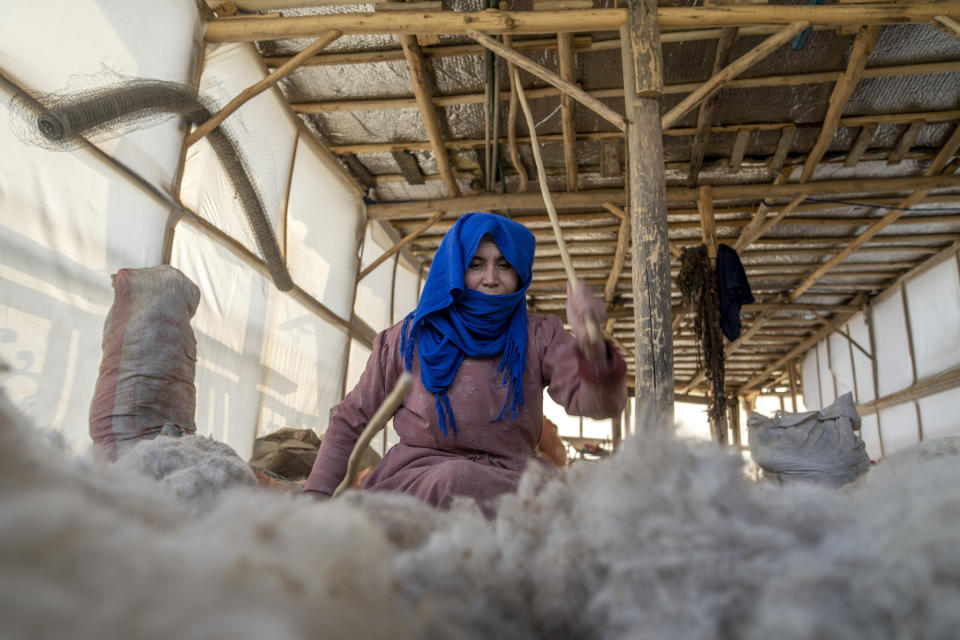 An Afghan woman cleans wools for making carpets at a traditional carpet factory in Kabul, Afghanistan, Sunday, March 5, 2023. After the Taliban came to power in Afghanistan, women have been deprived of many of their basic rights. (AP Photo/Ebrahim Noroozi)