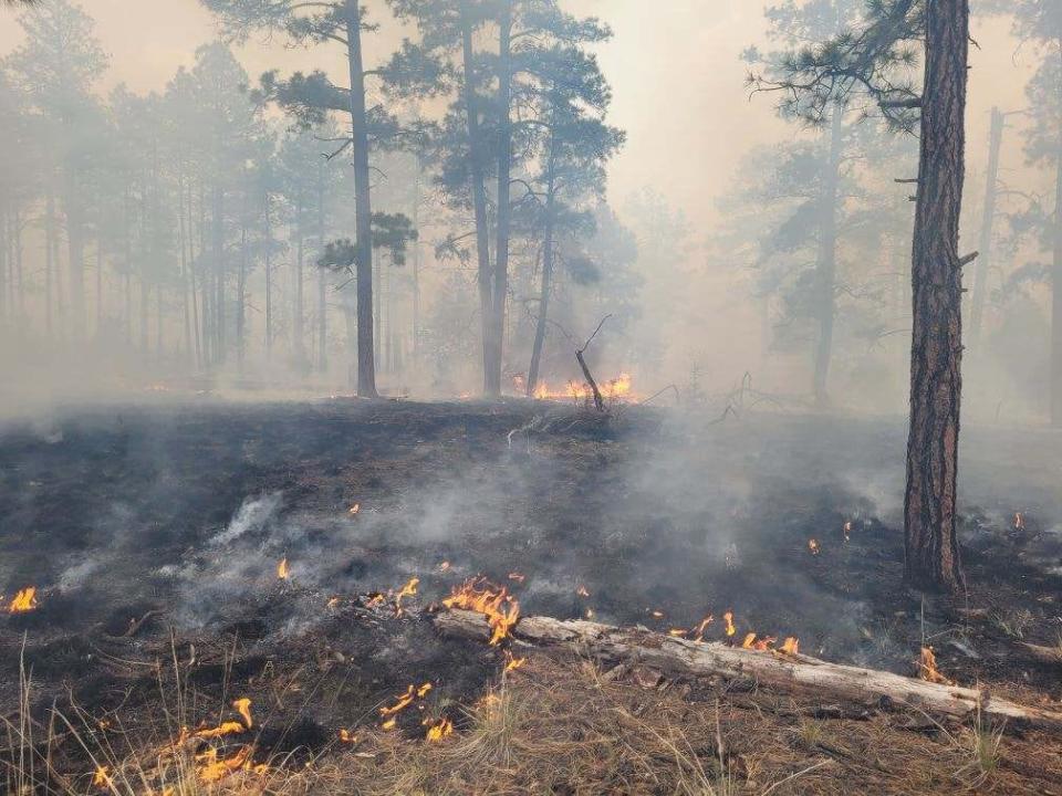 Low to moderate fire behavior is shown within the Pass Fire on May 27, 2023 in the Gila National Forest.