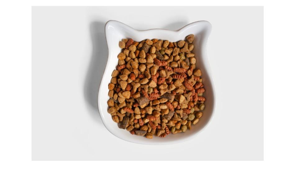 The Greatest Dry Cat Meals for 2022
