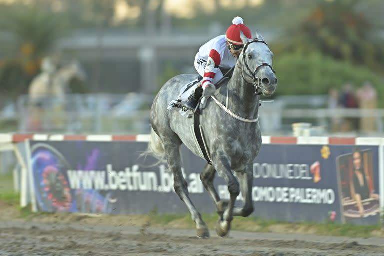 El tordillo Miriñaque ganó siete de sus últimas ocho carreras, compitiendo en Palermo, San Isidro y La Plata.