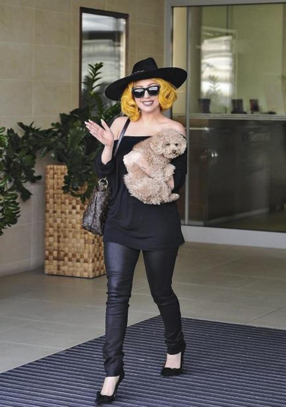 Lady Gaga and her maltipoo, Fozzi (CAMERA PRESS/ANDREAS PESSENLEHNE)