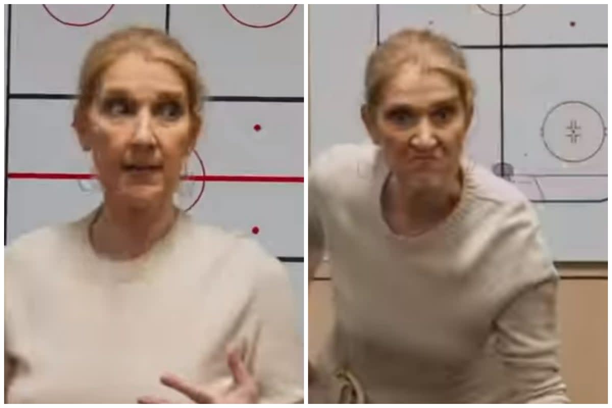 Celine Dion seemed in good spirts as she visited the NHL team Edmonton Oilers (Instagram @edmontonoilers)