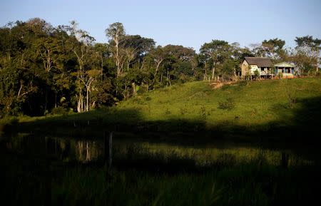 A house stands in the Chico Mendes Extraction Reserve in Xapuri, Acre state, Brazil, June 24, 2016. REUTERS/Ricardo Moraes