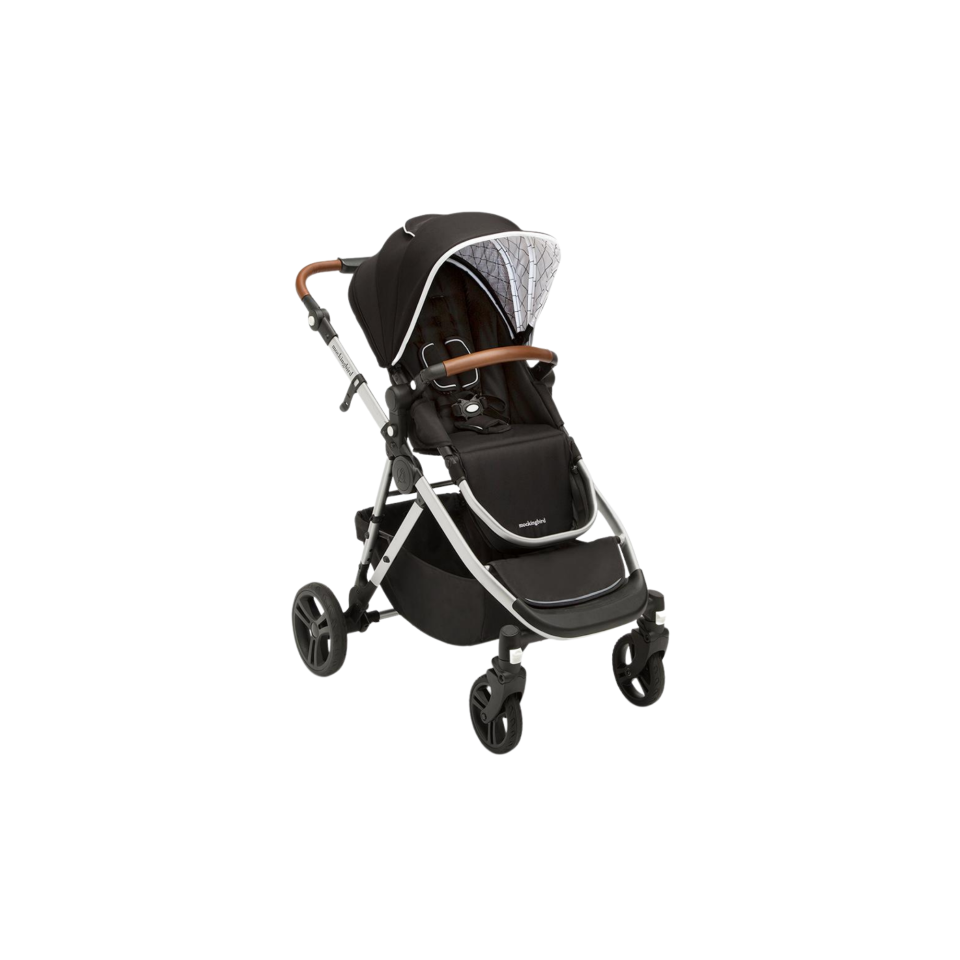 Single-to-Double Stroller