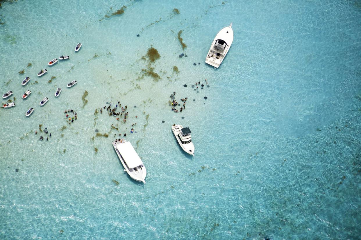 aerial view of stingrays at stingray city on grand cayman