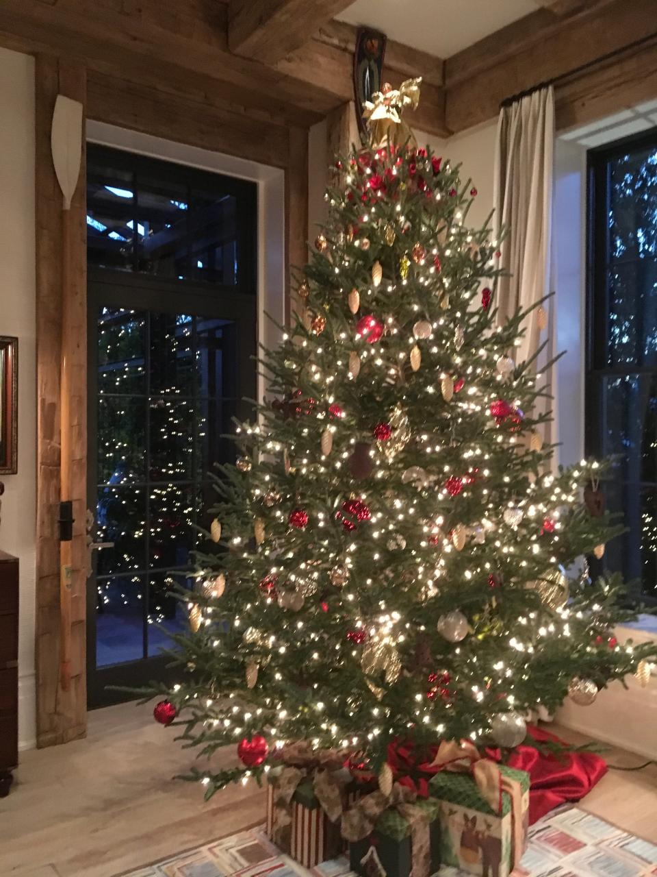 When choosing a live Christmas tree, look for signs of freshness by lightly pulling branches through your closed fist. Fresh trees should retain their needles during this test.