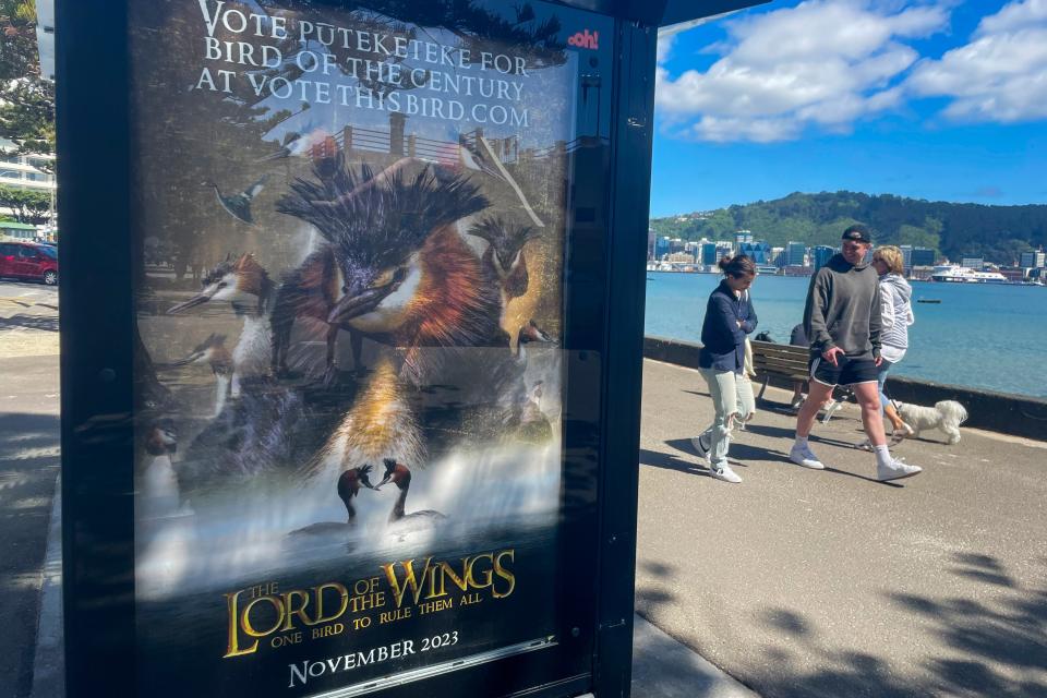 A billboard at a bus stop promotes comedian John Oliver's campaign for the pūteketeke to be named New Zealand's Bird of the Century on Nov. 11, 2023, in Wellington, New Zealand.