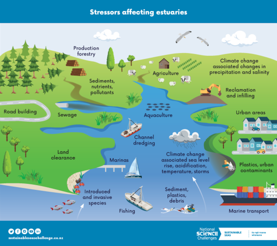 Activities on land and at sea all have an impact on estuaries. Sustainable Seas National Science Challenge, <a href="http://creativecommons.org/licenses/by-nd/4.0/" rel="nofollow noopener" target="_blank" data-ylk="slk:CC BY-ND;elm:context_link;itc:0;sec:content-canvas" class="link ">CC BY-ND</a>
