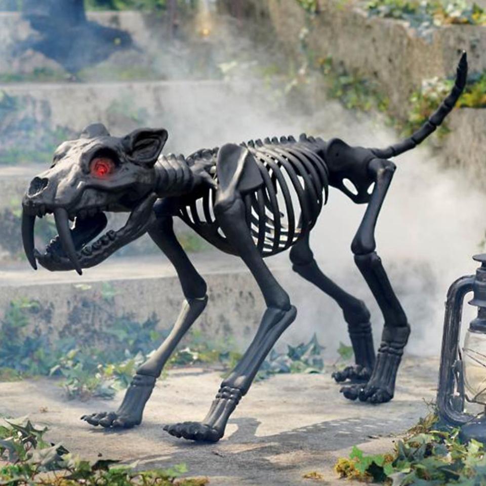 5) Animated Saber Tooth Tiger Skeleton