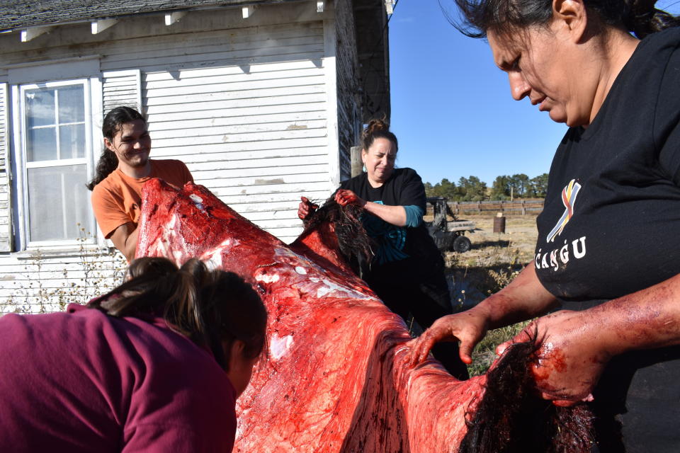 A buffalo hide is spread on a railing as it is scraped and cleaned by, from left, Natalie Bordeaux, Foster Cournoyer-Hogan, Hollie Mackey and Madonna Sitting Bear at the Wolakota Buffalo Range on the Rosebud Sioux Reservation, near Spring Creek, S.D. The four were helping process the half-ton bison that had been shot earlier in the day. (AP Photo/Matthew Brown)