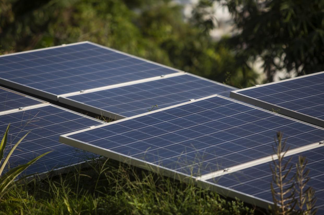 Solar panels in Brazil. <a href="https://newsroom.ap.org/detail/7551d26521224cbf94340e255374a7a7?ext=true" rel="nofollow noopener" target="_blank" data-ylk="slk:AP Photo/Bruna Prado;elm:context_link;itc:0;sec:content-canvas" class="link ">AP Photo/Bruna Prado</a>