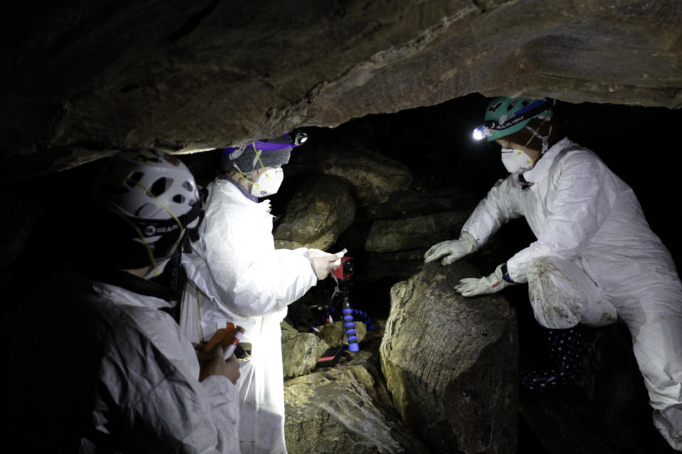 Laura Kloepper, right, a visiting assistant professor at the University of New Hampshire in the Department of Biological Sciences and the Center for Acoustics Research and Behavior Lab, carries out research with unidentified students in a bat cave in Dorset, Vt., on May 2, 2023. Scientists studying bat species hit hard by the fungus that causes white nose syndrome, which has killed millions of bats across North America, say there is a glimmer of good news for the disease. (AP Photo/Hasan Jamali)