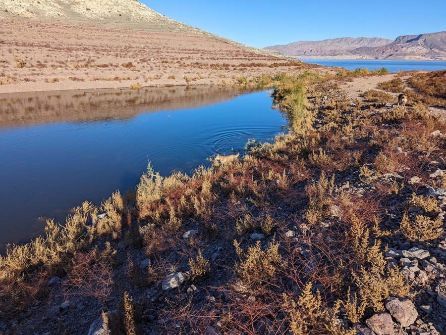 The channel connecting Boulder Harbor to Lake Mead on Jan. 5, 2024. (Photo courtesy, Michael Zauner)