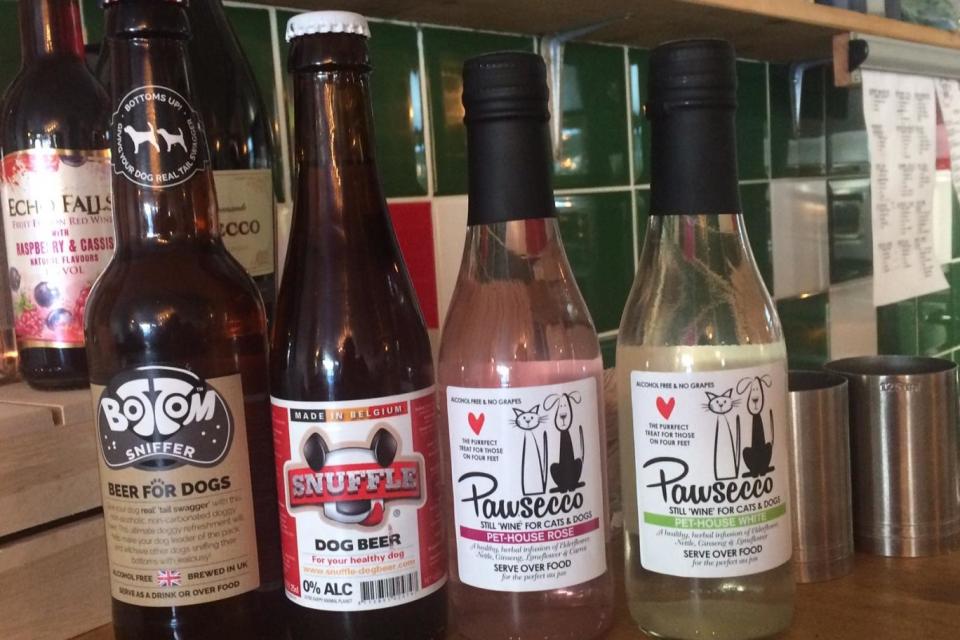 Pawsecco and Snuffle Dog beer are served at The Wet Dog Pizza (Rosamund Urwin)