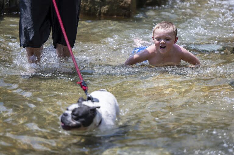 James Charles Liptak, de seis años, y su perro Rumble se mantienen frescos del agobiante calor con un paseo por las escaleras de agua junto al PNC Park, en la zona de North Shore de Pittsburgh, el lunes 17 de junio de 2024. 
