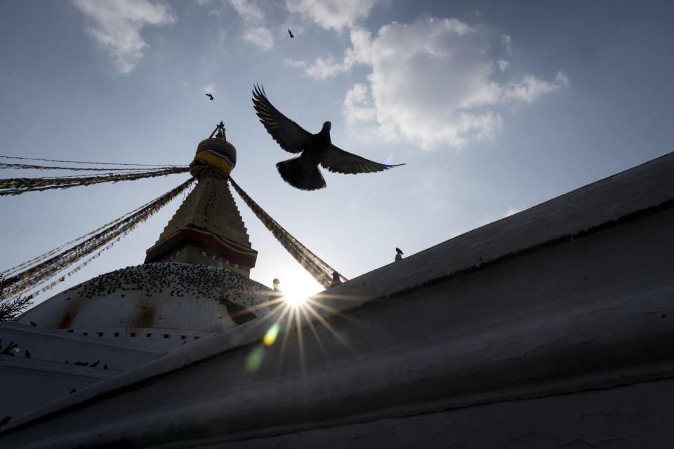 Pigeons fly at the Boudhanath Stupa, a World Heritage site in Kathmandu, Nepal, Thursday, Jan. 18, 2024. (AP Photo/Niranjan Shrestha)