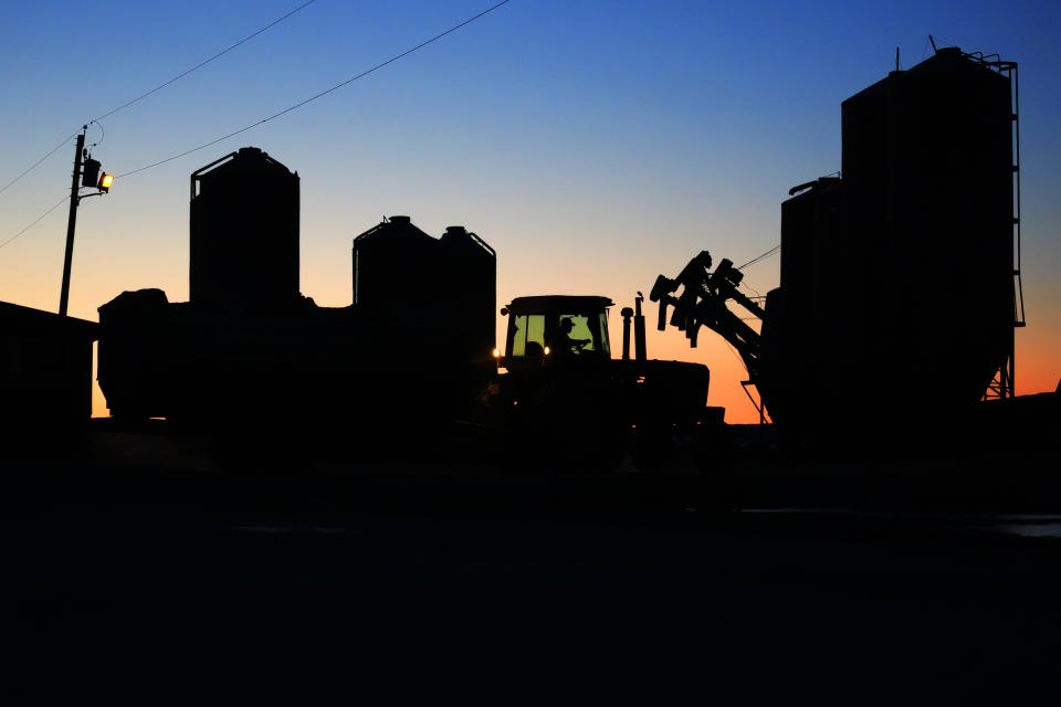 A worker drives a tractor to the feed silos at the Flood Brothers Farm, Monday, April 1, 2024, in Clinton, Maine. Foreign-born workers make up fully half the farm's staff of nearly 50, feeding the cows, tending crops and helping collect the milk — 18,000 gallons every day. (AP Photo/Robert F. Bukaty)