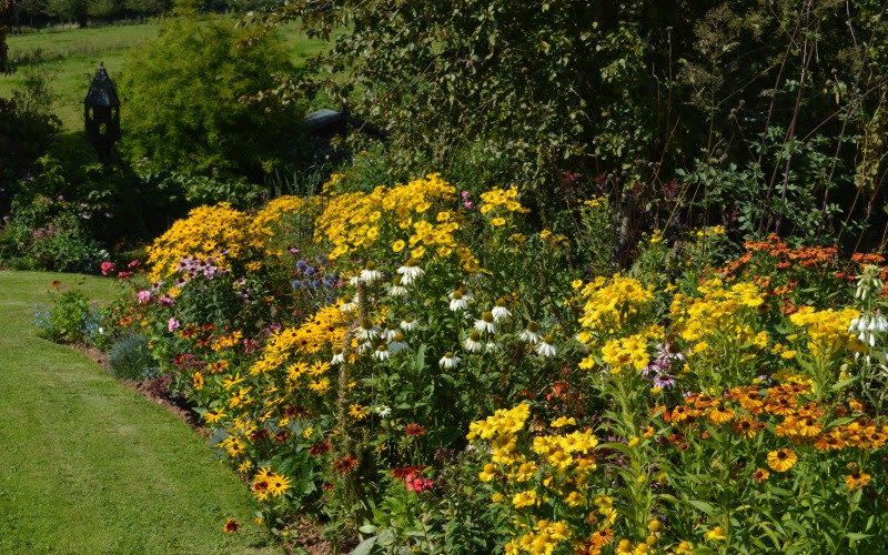 A border filled with late-summer perennials at Venn Cross Engine House - National Garden Scheme