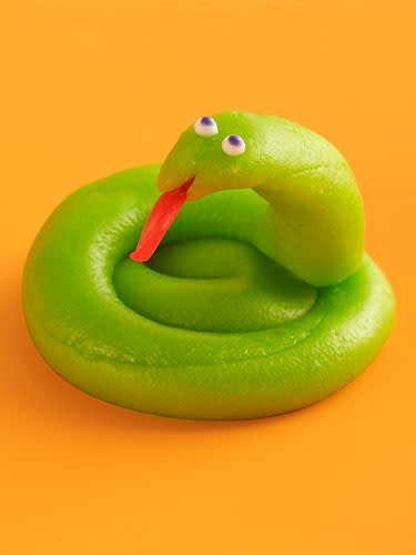 Friendly Snake