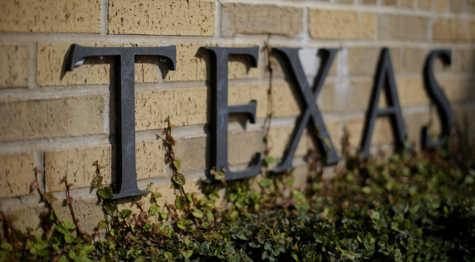 FILE - In this Thursday, Nov. 29, 2012, photo, ivy grows near the lettering of an entrance to the University of Texas in Austin, Texas. A ban on diversity, equity and inclusion initiatives in higher education has led to more than 100 job cuts across university campuses in Texas, a hit echoed or anticipated in numerous other states where lawmakers are rolling out similar policies during an important election year. (AP Photo/Eric Gay, File)