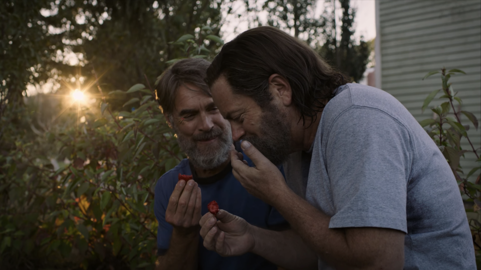 The couple sharing a moment as they taste strawberries outdoors near greenery and a house at sunset