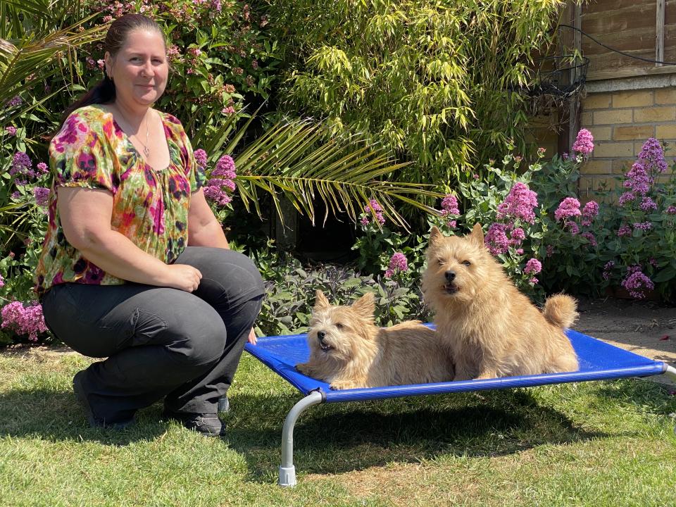 Joe with her dogs