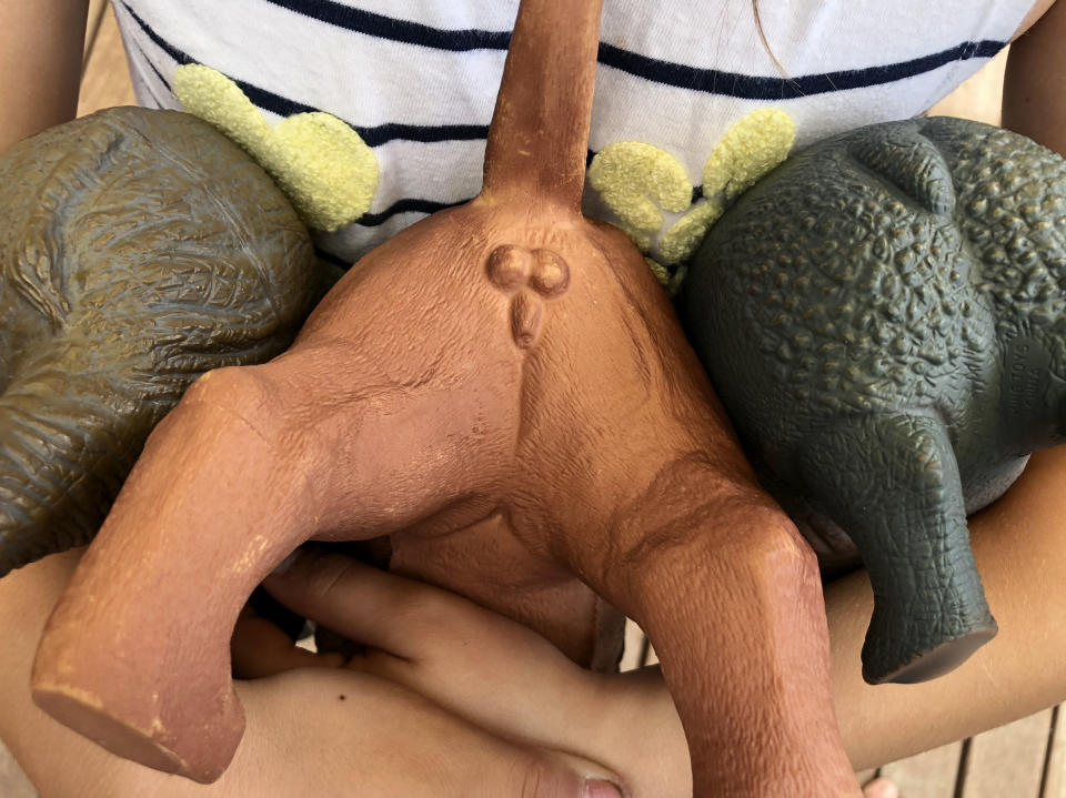 A mum is upset that her son’s toy lion features ‘graphic’ male genitalia [Photo: Caters]