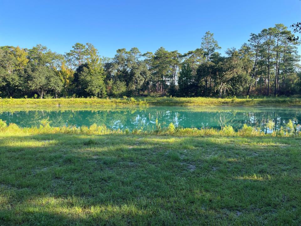 Jubilee Orchards in eastern Leon County.