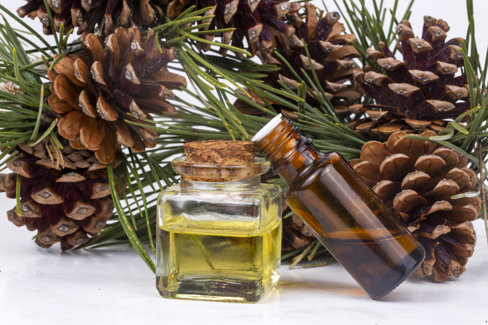 Wood scents for winter time aromatherapy. Pine cones and fresh green fir tree boughs, essential oil bottles