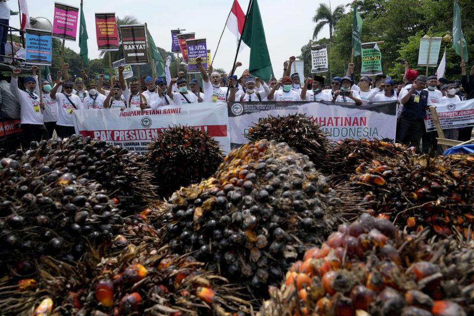 <span class="caption">Farmers shout slogans as they display oil palm fruits during a protest near the presidential palace in Jakarta, Indonesia, on May 17, 2022. Dozens of palm oil farmers staged the rally urging the government to lift the ban on palm oil exports, saying that it has caused significant drop to their income.</span> <span class="attribution"><span class="source">(AP Photo/Tatan Syuflana)</span></span>