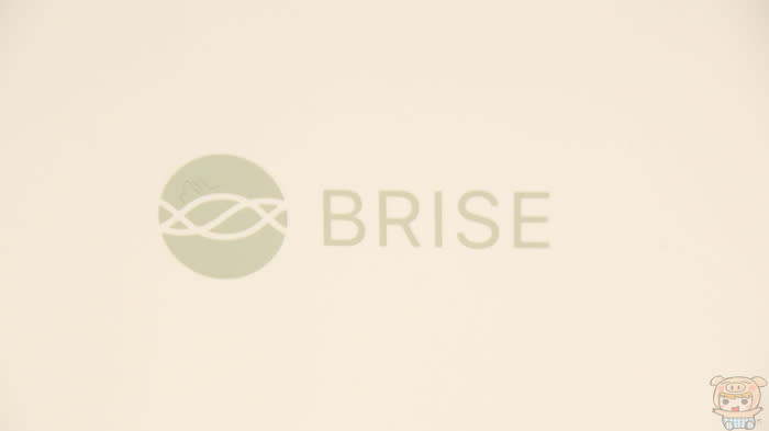 BRISE C200 人工智慧空氣清淨機 空氣淨化防患於未然