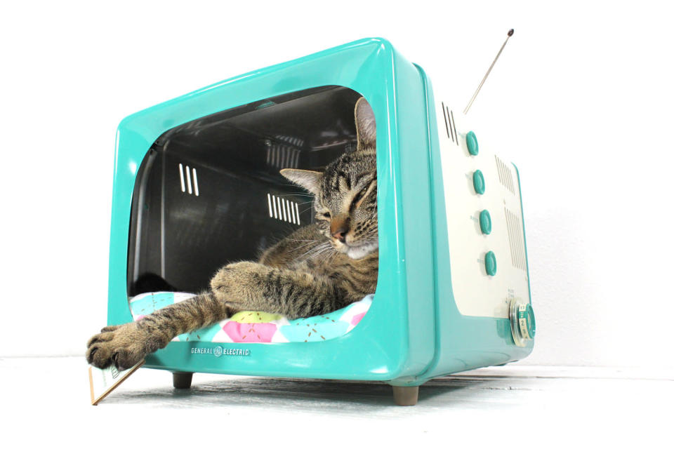 12 incredible pet beds on Etsy teevee