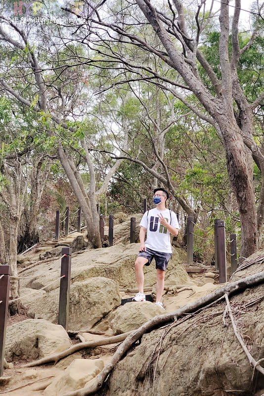 台中大坑六號七號登山步道