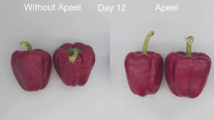 El efecto del invento de Apeel en dos pimientos. Foto via Digital Trends