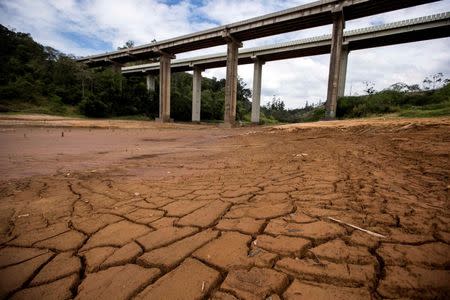 A view of the nearly dry lake behind the Nazare Paulista dam, part of the Cantareira water system that provides greater Sao Paulo with most of its water, in Nazare Paulista is pictured in this September 25, 2014 file photo. REUTERS/Roosevelt Cassio/Files