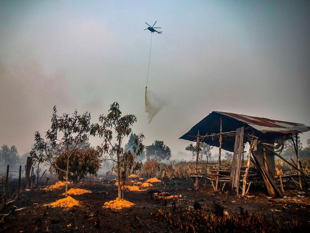 A water-bombing helicopter douses the burning peatland in Kampar of Riau province on 18 September 2019: Wahyudi/AFP/Getty Images