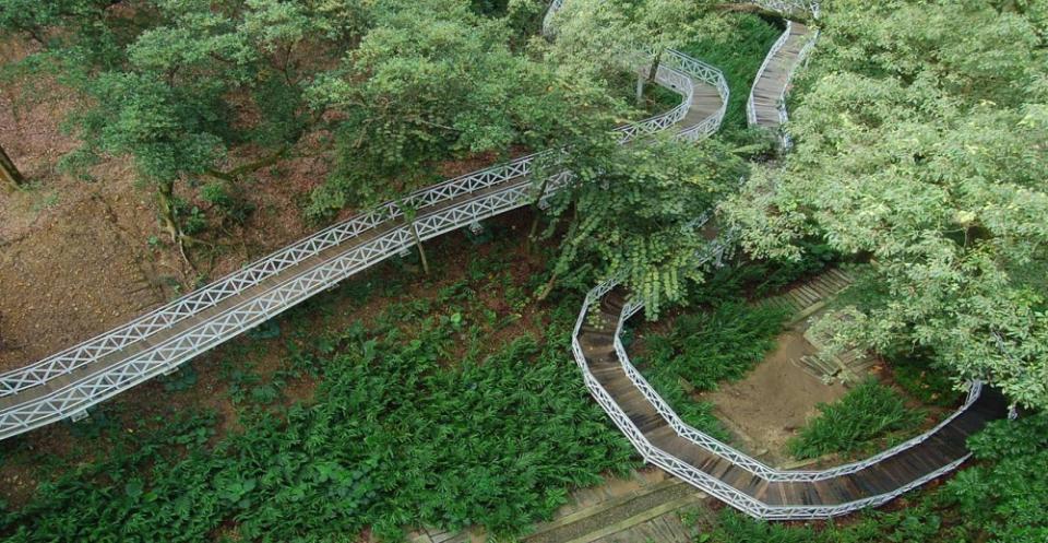 花仙子步道坡道和緩，適合各種年齡層行走，欣賞樹林美景。