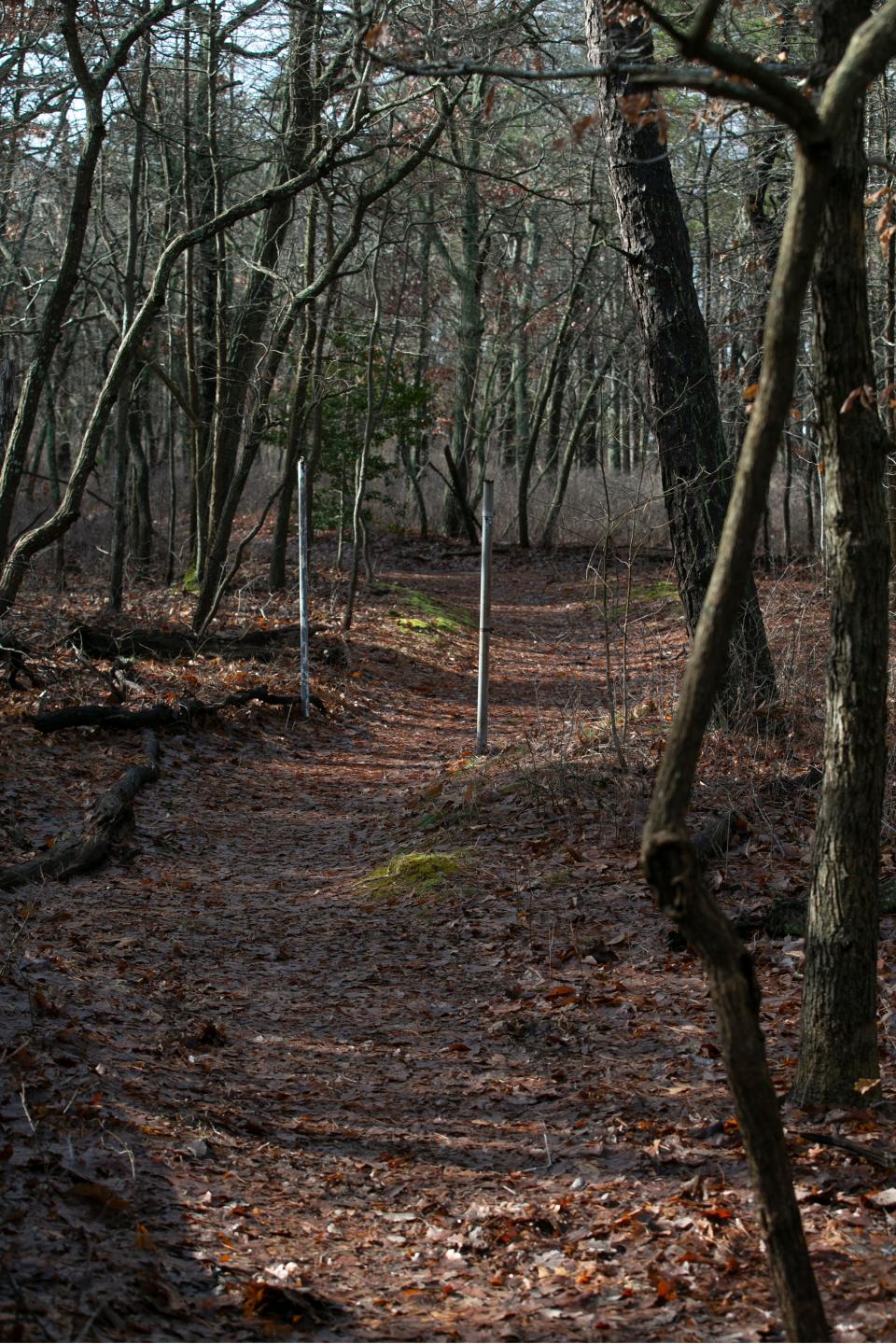 The Church of the Visitation is selling 31 acres of woodland property north of Drum Point Road. The buyer, D.R. Horton, plans to build 59 homes on the property.        
Brick, NJ
Tuesday, February 8, 2022