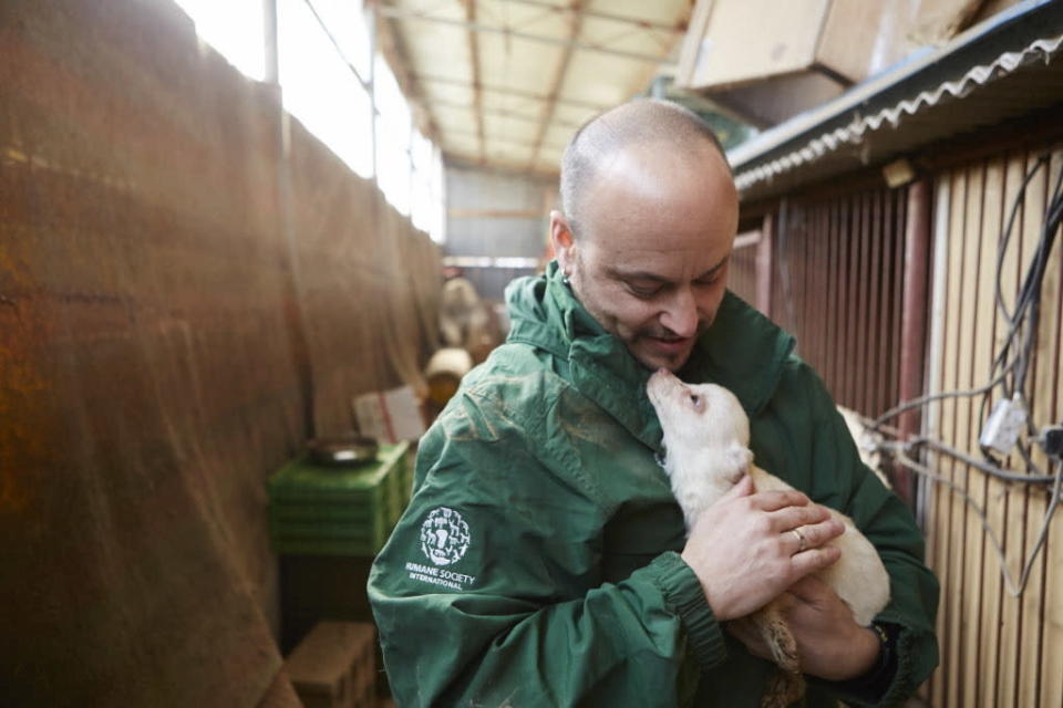 <p>In February 2015, Humane Society International closed down a dog meat farm in Hongseong, South Korea, where dogs were being raised for the dog meat trade. HSI secured an agreement with the farmer to stop raising dogs for food and move permanently to growing crops as a more humane way to make a living. HSI rescuer Adam Parascandola is pictured here with Ruby, who he went on to adopt himself. This image was featured in the charity’s celebrity-attended photo exhibition at Parliament on July 11th. (Photo by Manchul Kim/AP Images for Humane Society International) </p>
