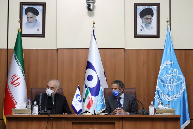 FILE PHOTO: IAEA Director General Grossi meets with Head of Iran's Atomic Energy Organization Ali-Akbar Salehi in Tehran