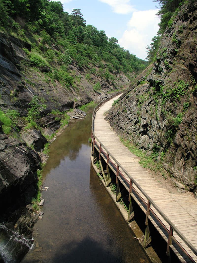 West Virginia: Paw Paw