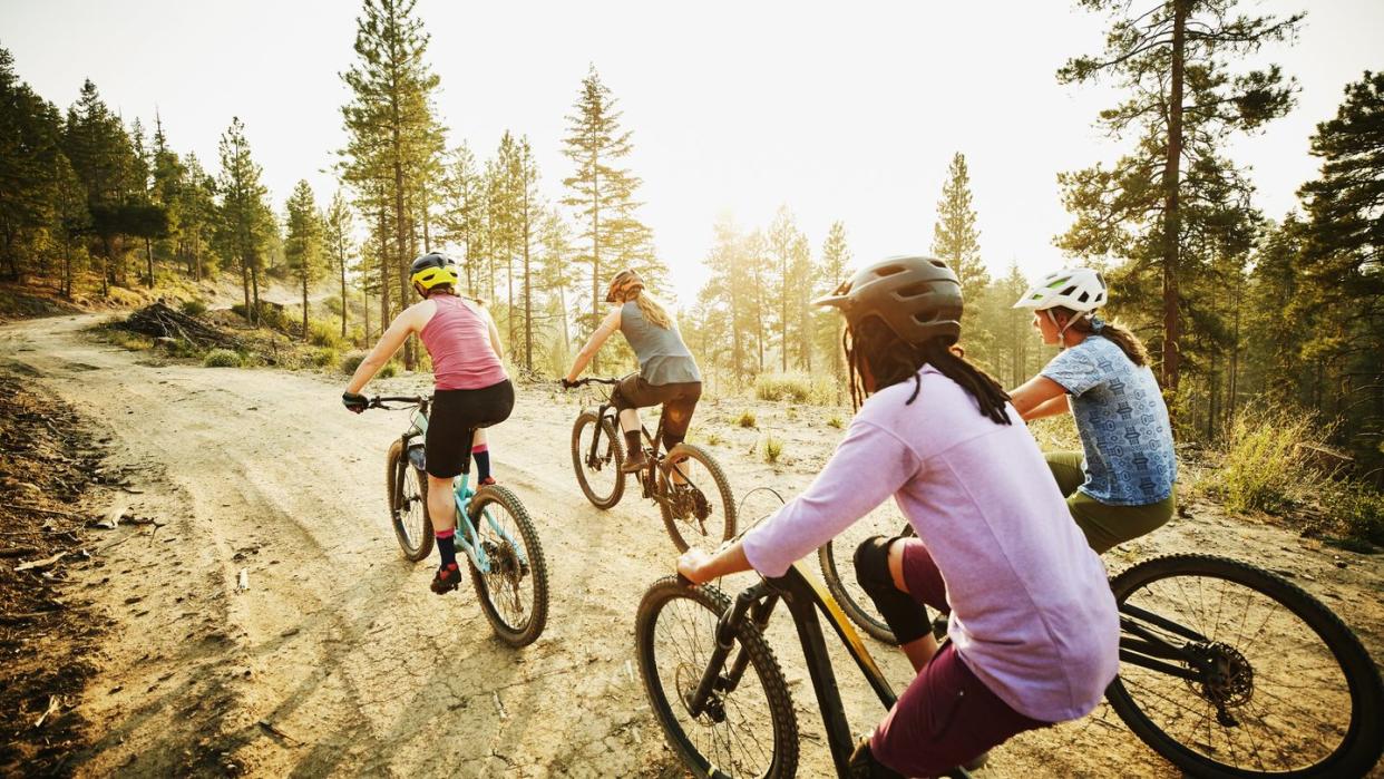 female mountain bikers riding on forest road on summer evening