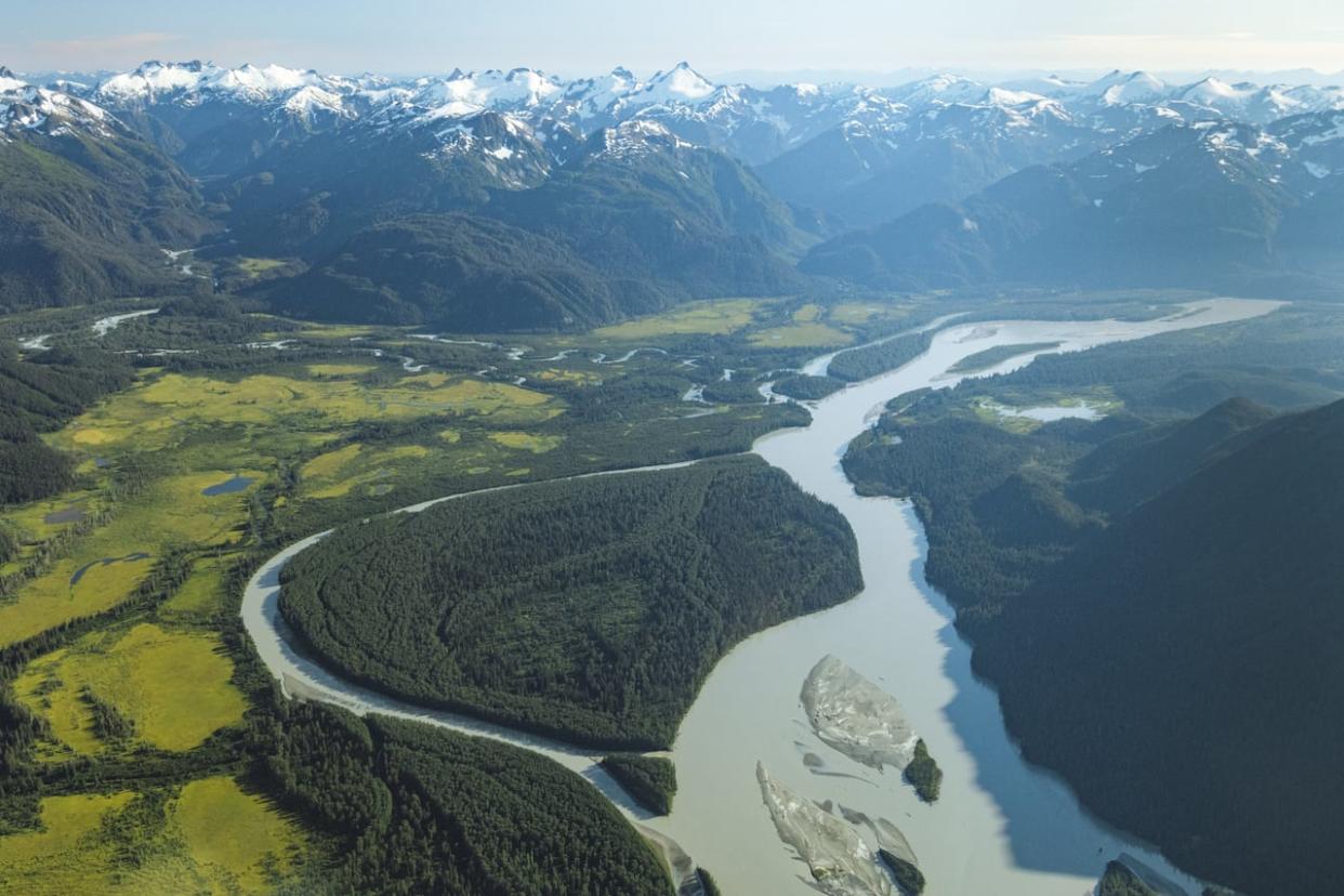 The Stikine River is located in the transboundary region between B.C. and Alaska. It flows from the boreal forests of Northwest British Columbia into the temperate rainforest of the Tongass National Forest and the Stikine LeConte Wilderness Area in Southeast Alaska.  (Colin Arisman/Salmon State - image credit)