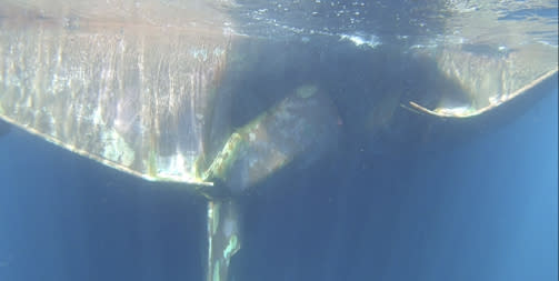 This undated handout photograph from the United Arab Emirates' Mission to the United Nations released Thursday, June 6, 2019, shows the damage done to the Norwegian oil tanker Andrea Victory off the coast of Fujairah, United Arab Emirates. A joint statement released Thursday by Saudi Arabia, the UAE and Norway said the damage done to the four oil tankers off the UAE likely came from limpet mines placed by a "state actor" amid U.S. and Saudi allegations Iran carried out the sabotage. Iran has denied being involved amid heightened tensions between Tehran and Washington. (United Arab Emirates' Mission to the United Nations via AP)