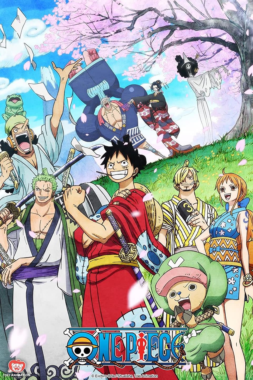 best anime tv shows and movies on netflix, one piece