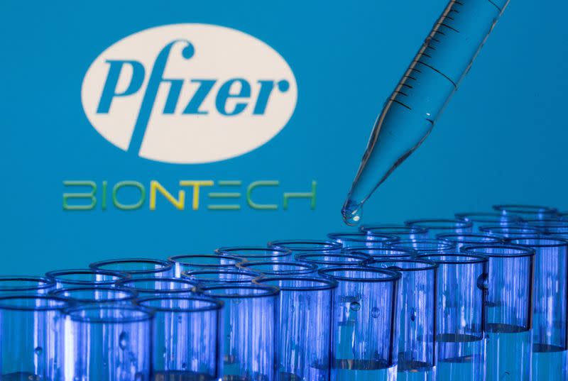 FILE PHOTO: Test tubes are seen in front of displayed Pfizer and Biontech logos in this illustration